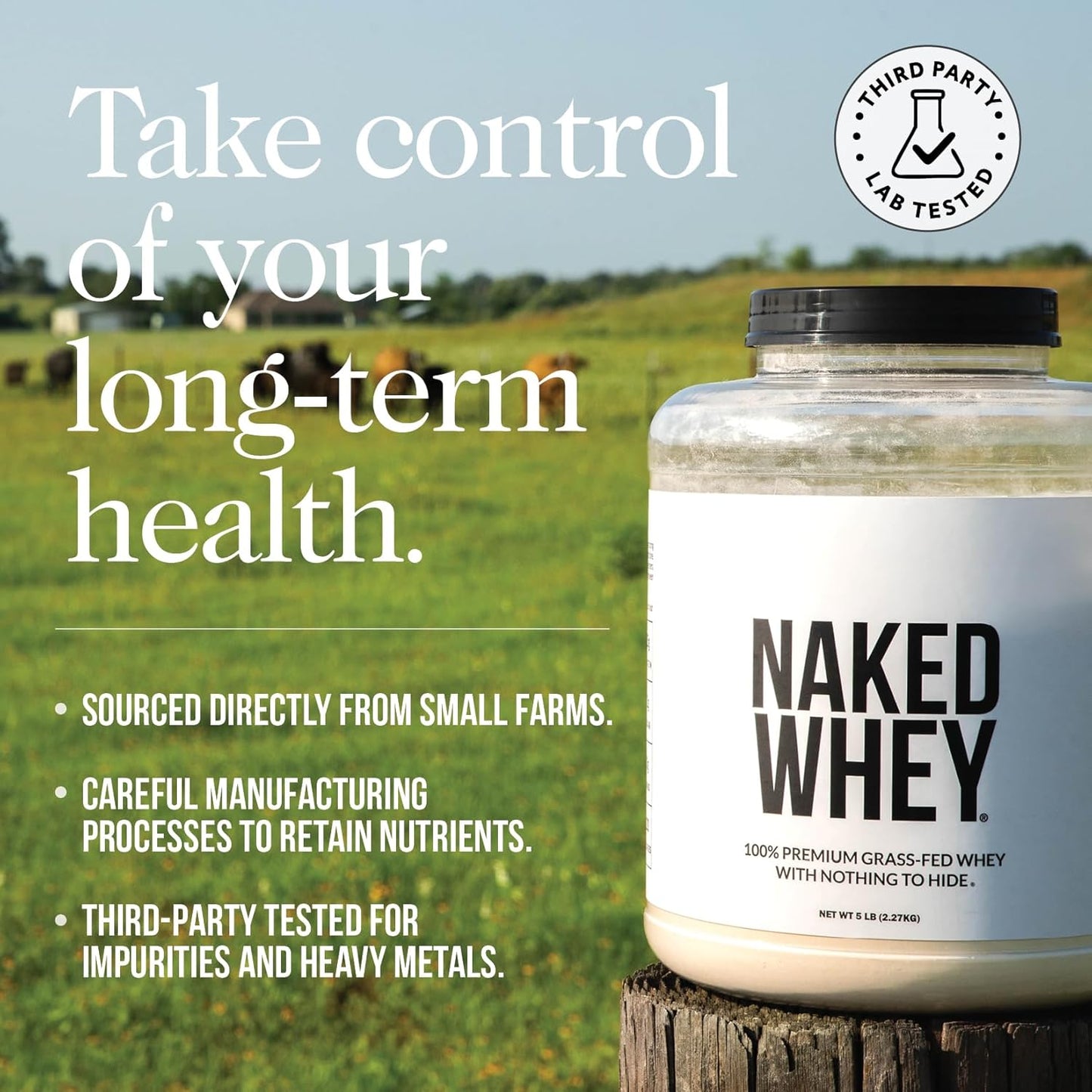 Whey Chocolate Peanut Butter Protein Powder, Grass Fed Whey, No GMO, No Soy, and Gluten Free. Nothing Artificial, Aid Growth and Recovery - 21 Servings