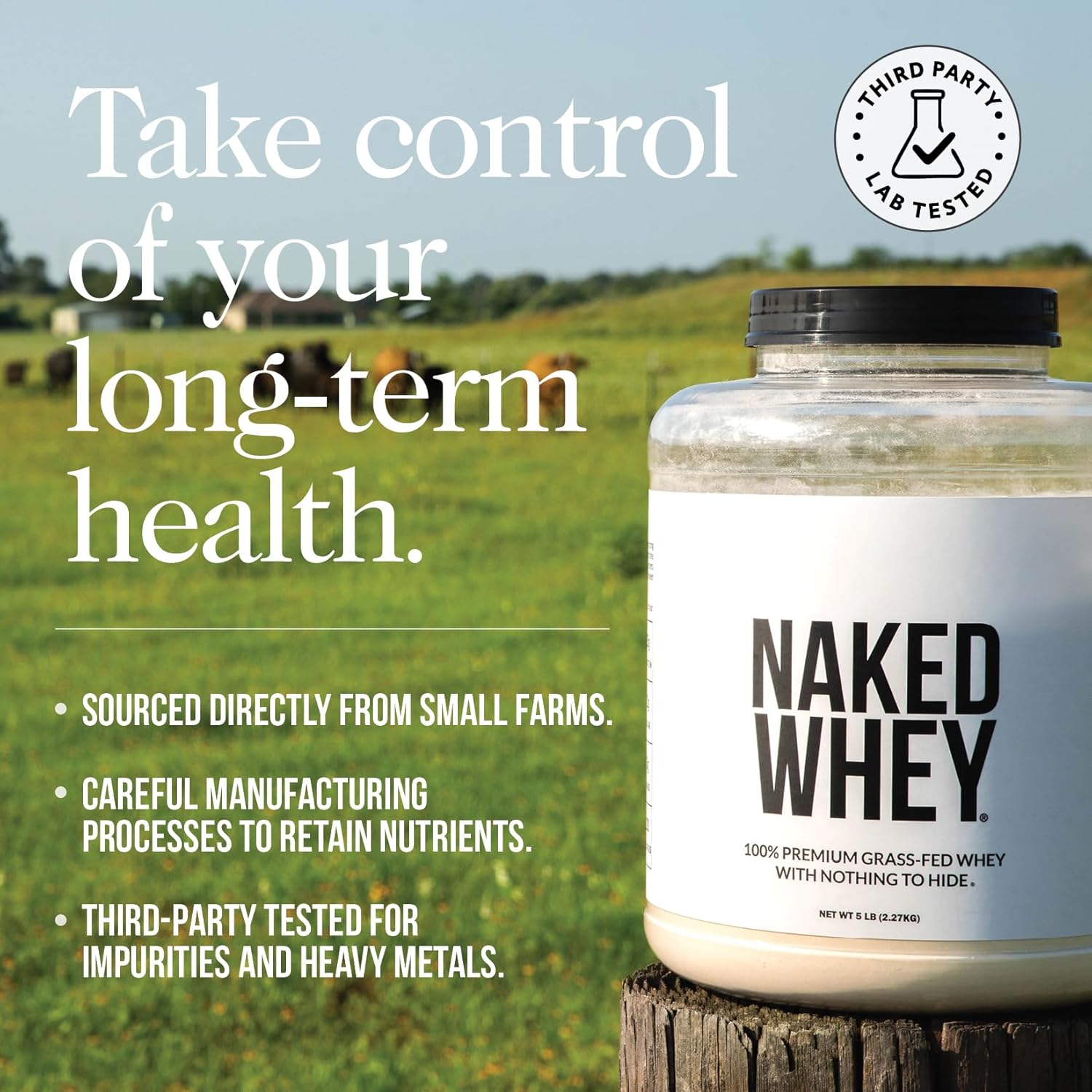 Whey Chocolate Peanut Butter Protein Powder, Grass Fed Whey, No GMO, No Soy, and Gluten Free. Nothing Artificial, Aid Growth and Recovery - 21 Servings